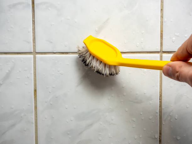 Best Mold Testing and Inspection Services in Wolverine Lake, MI